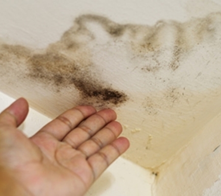 다르다누수탐지 다르다방수공사 PC 이미지 1122033