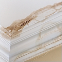 다르다누수탐지 다르다방수공사 PC 갤러리 0