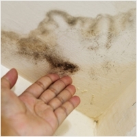 다르다누수탐지 다르다방수공사 PC 갤러리 10