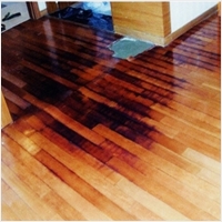 다르다누수탐지 다르다방수공사 PC 갤러리 8